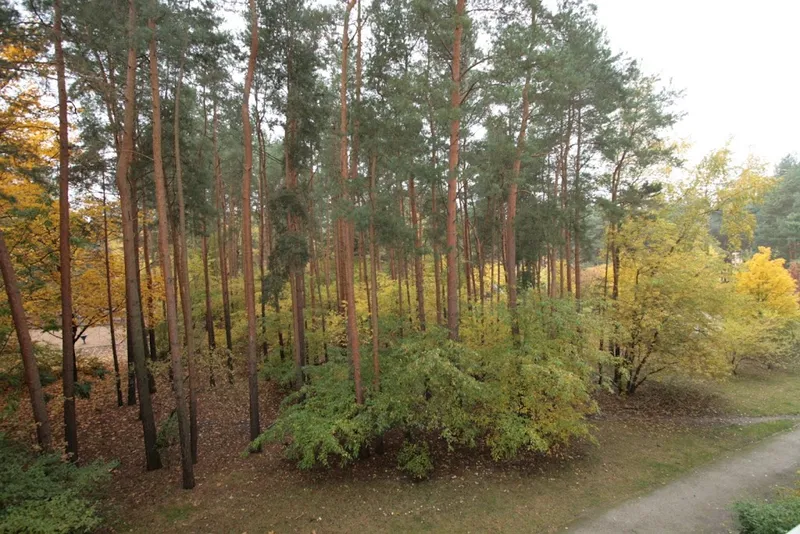 Vier Wände für Eine/n — photo 1